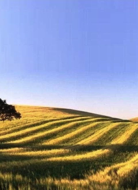 Chineses avan&ccedil;am para novo projeto de energias renov&aacute;veis no Alentejo